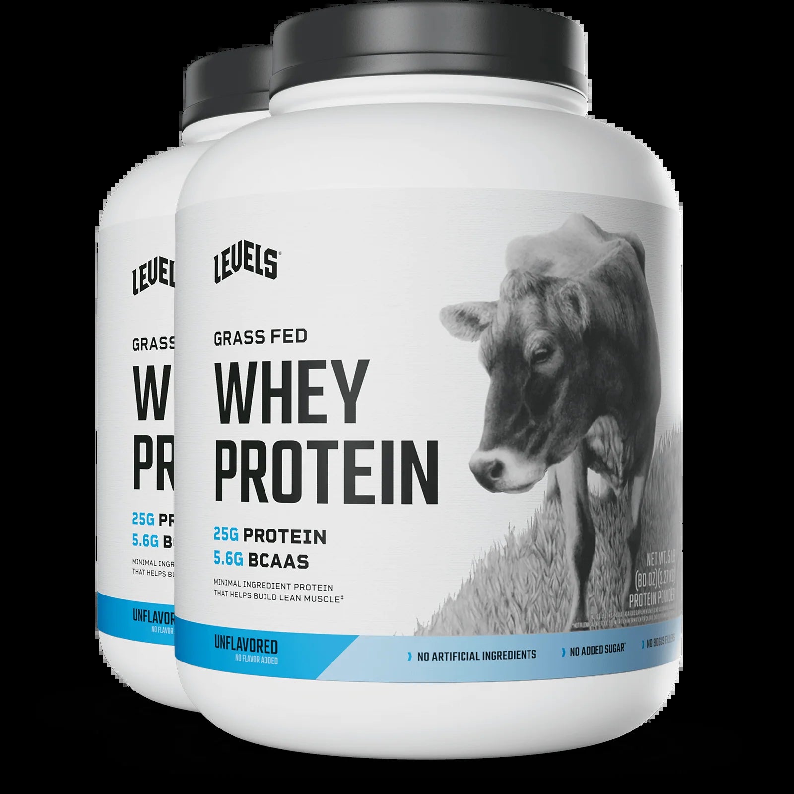 Whey Protein