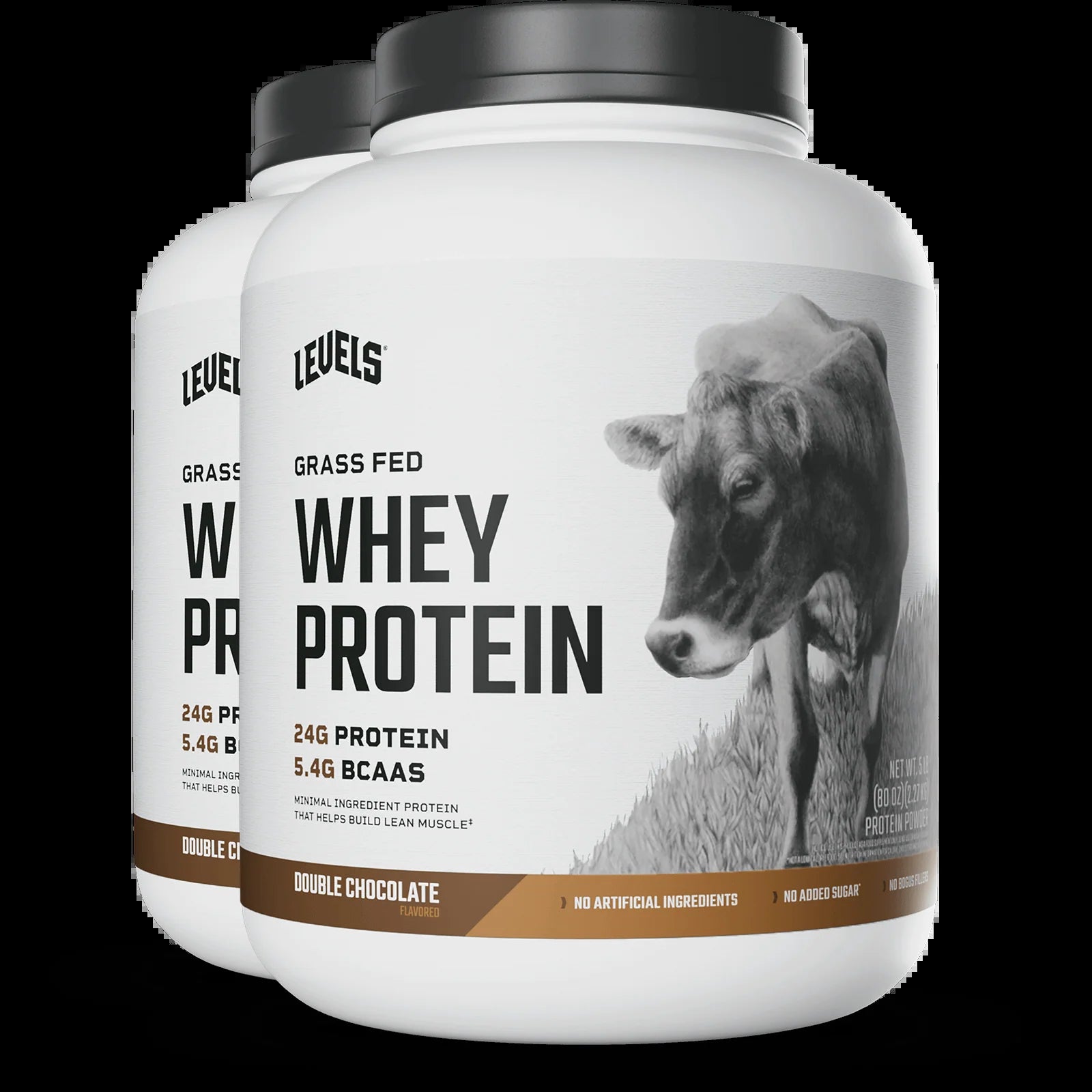 Whey Protein
