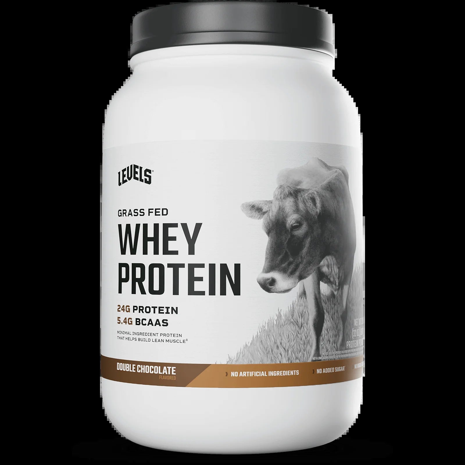 Whey Protein