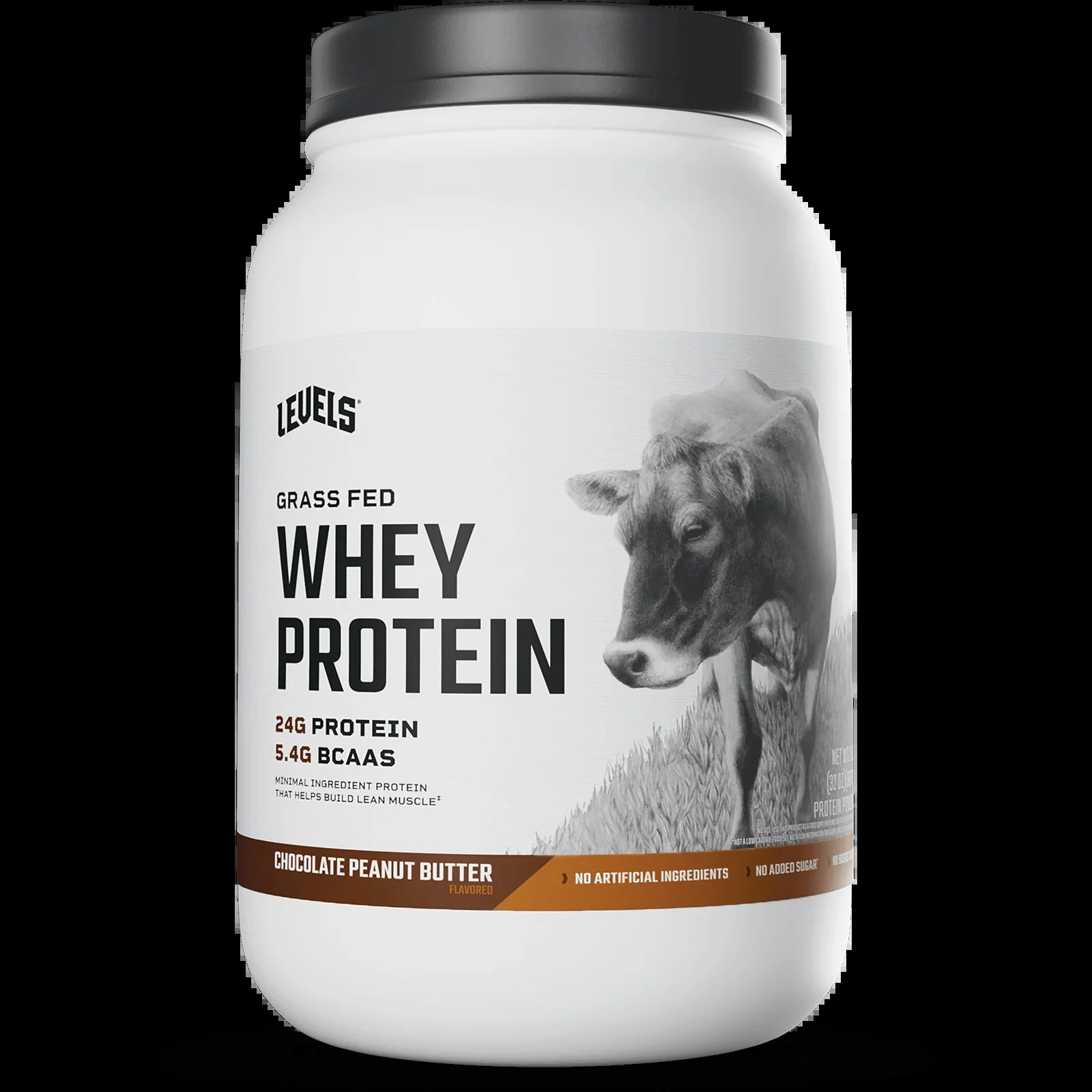 Whey Protein