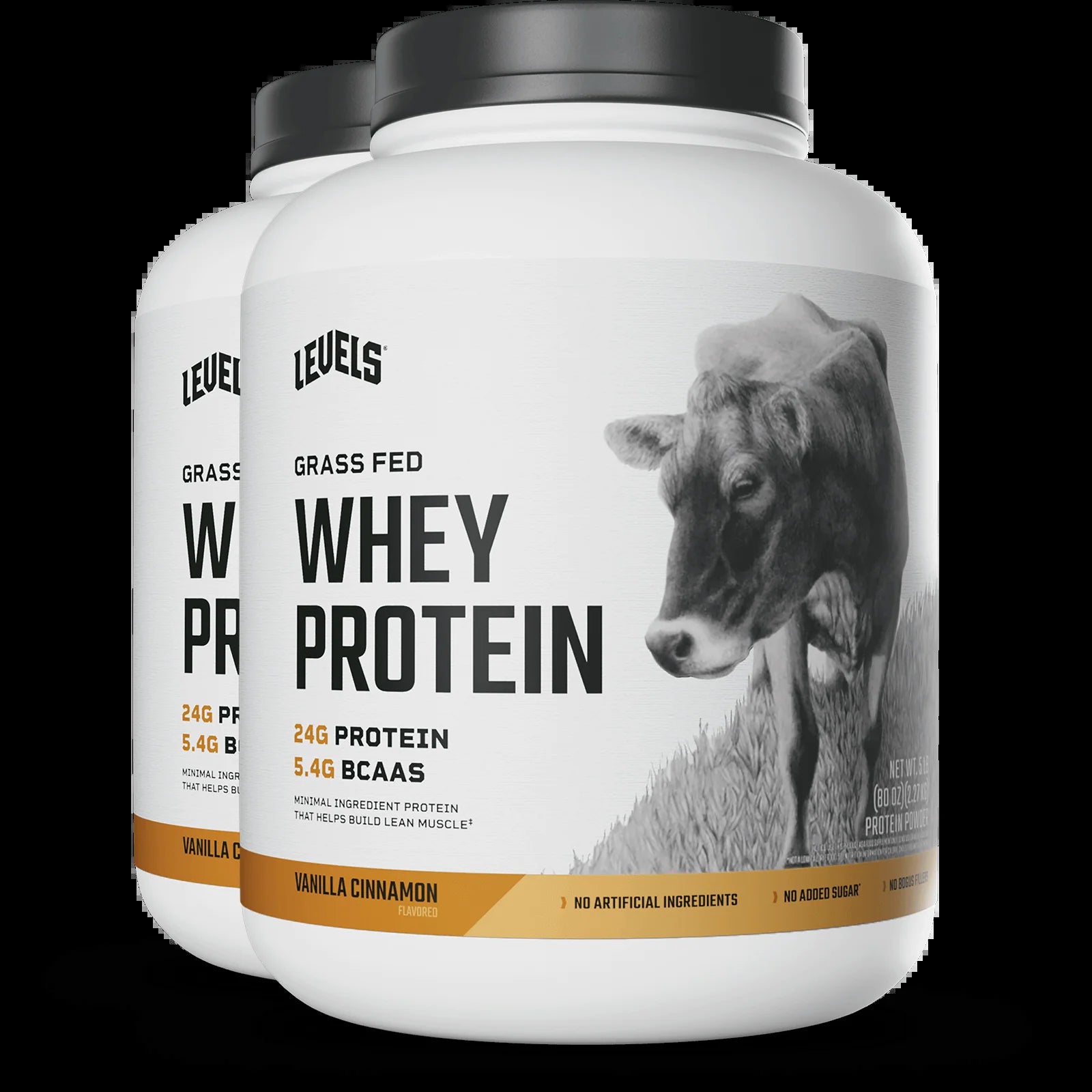 Whey Protein