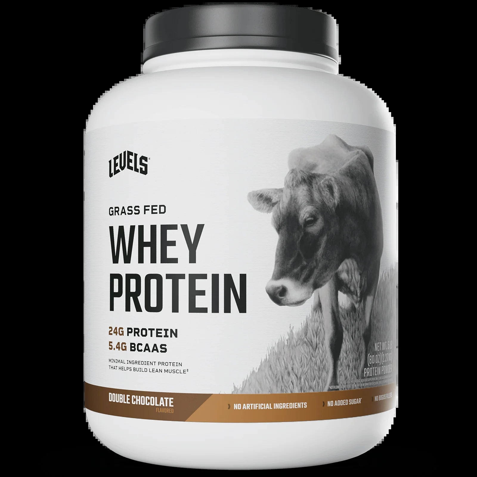 Whey Protein