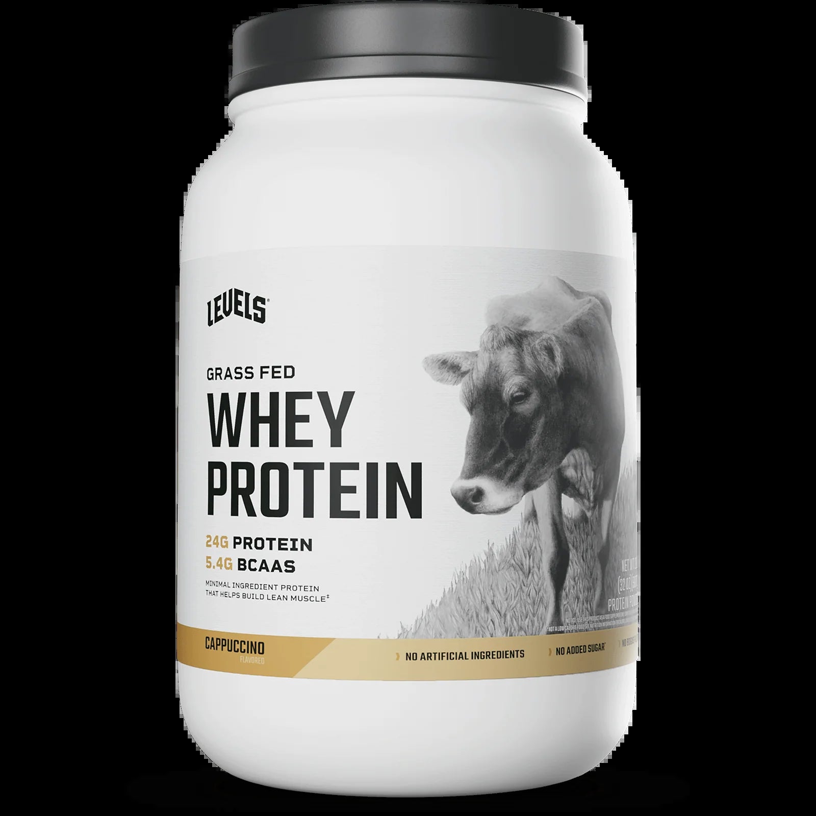Whey Protein