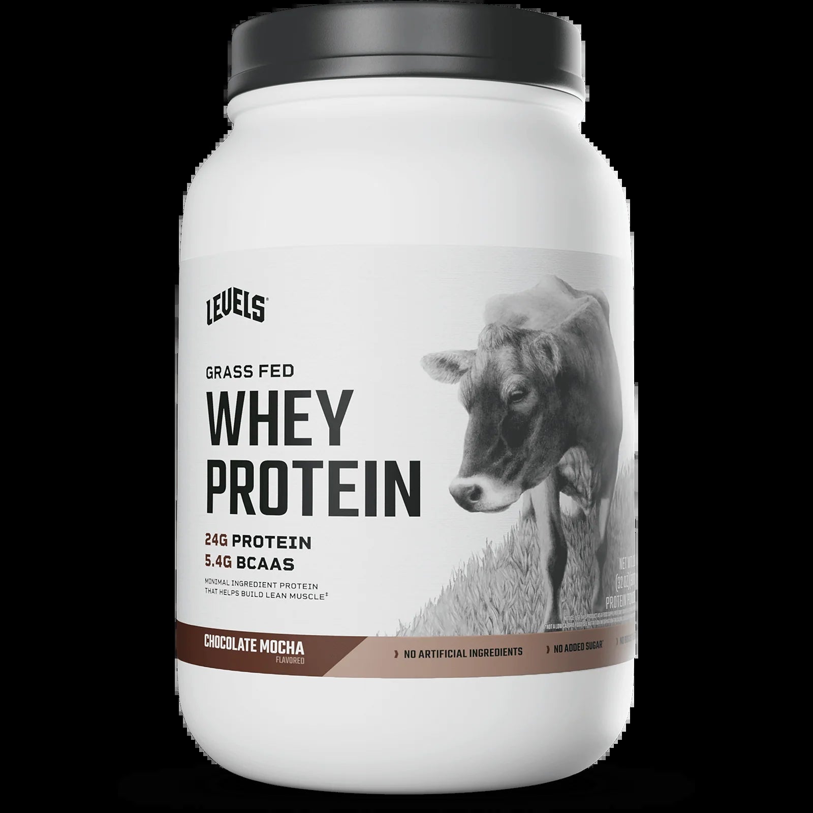 Whey Protein