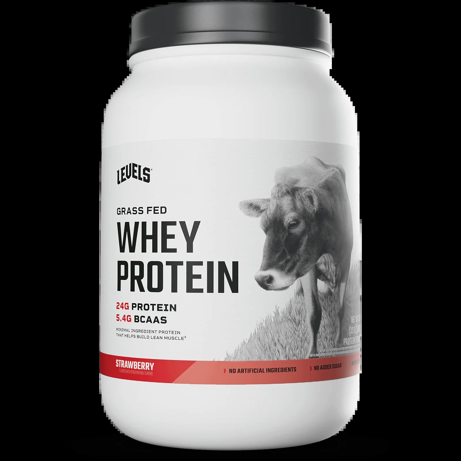 Whey Protein