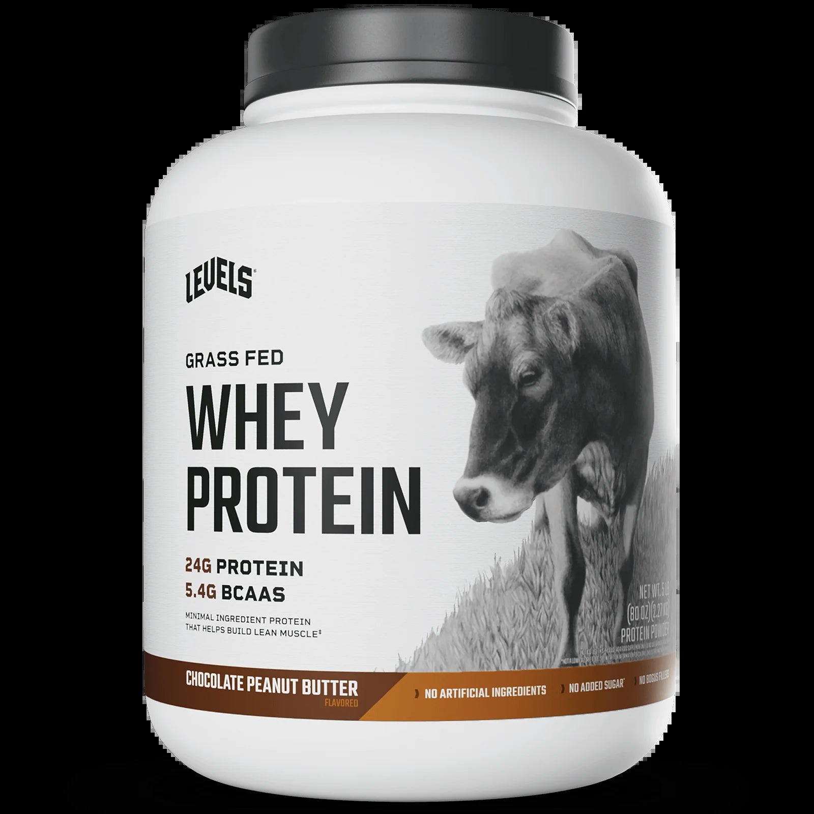 Whey Protein