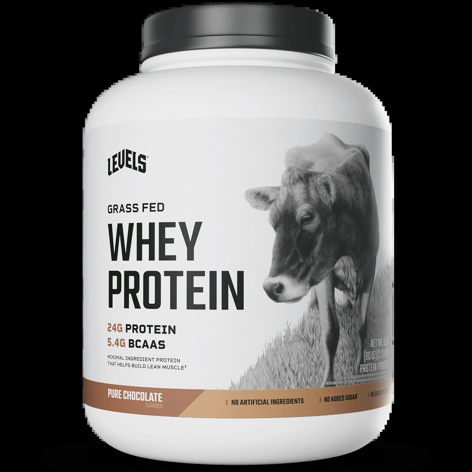 Whey Protein
