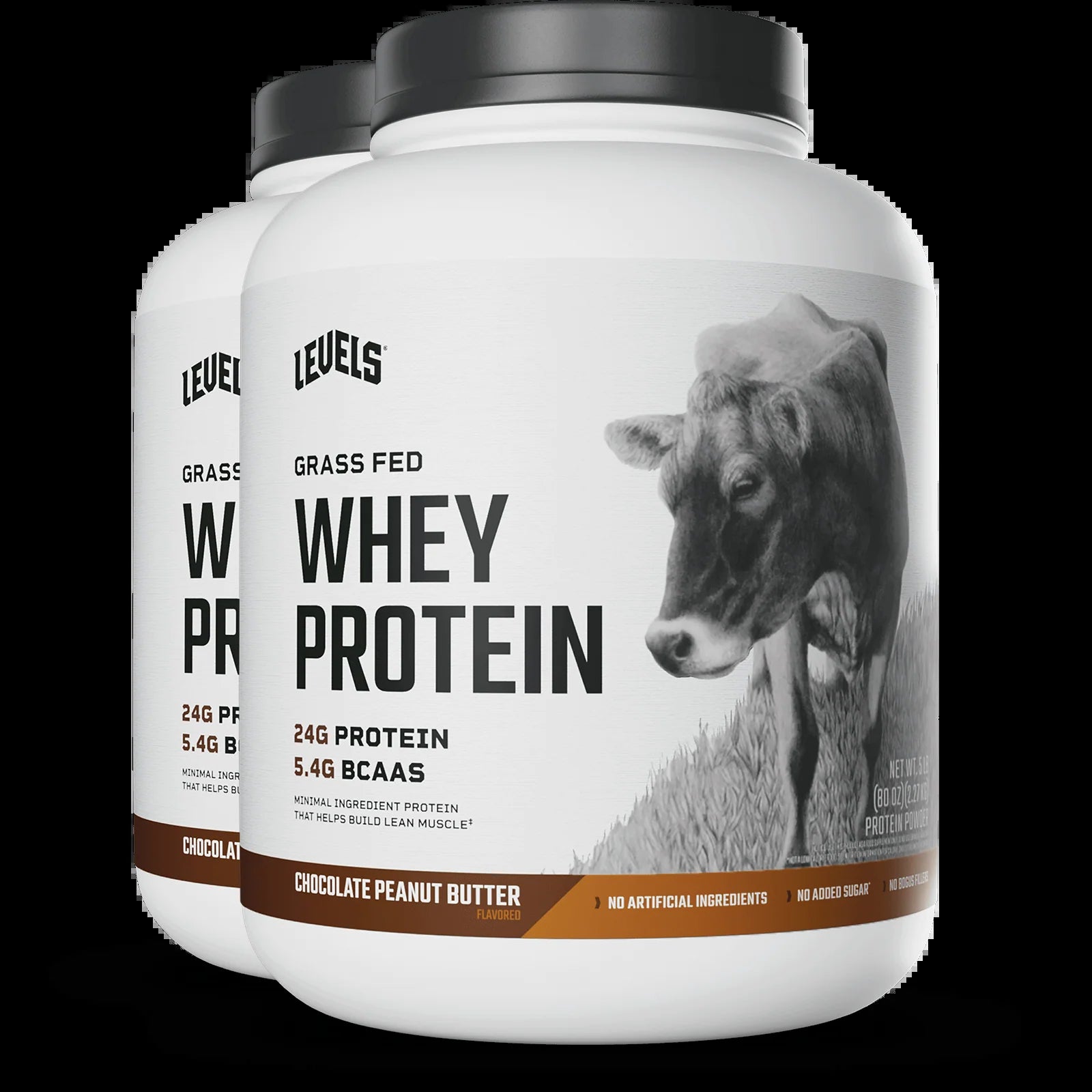 Whey Protein
