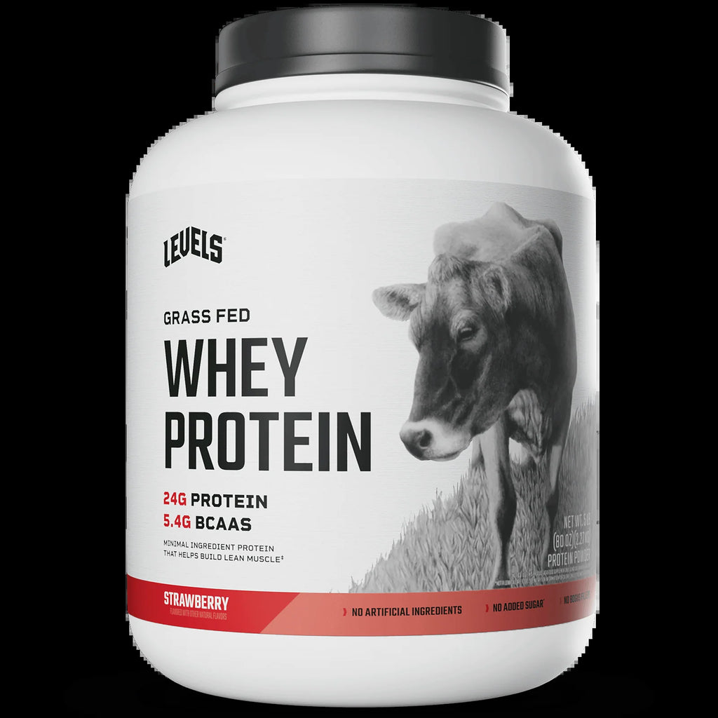 Whey Protein