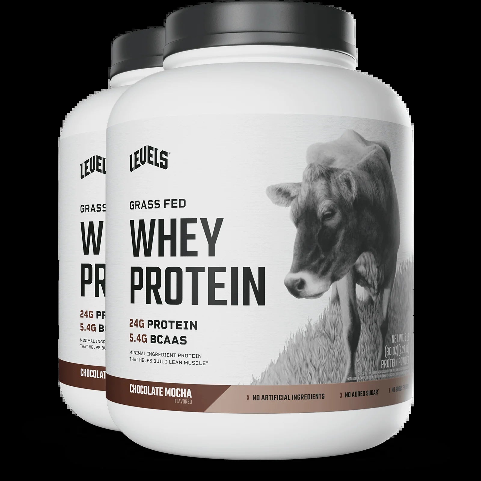 Whey Protein