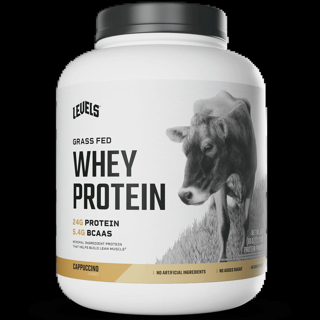 Whey Protein
