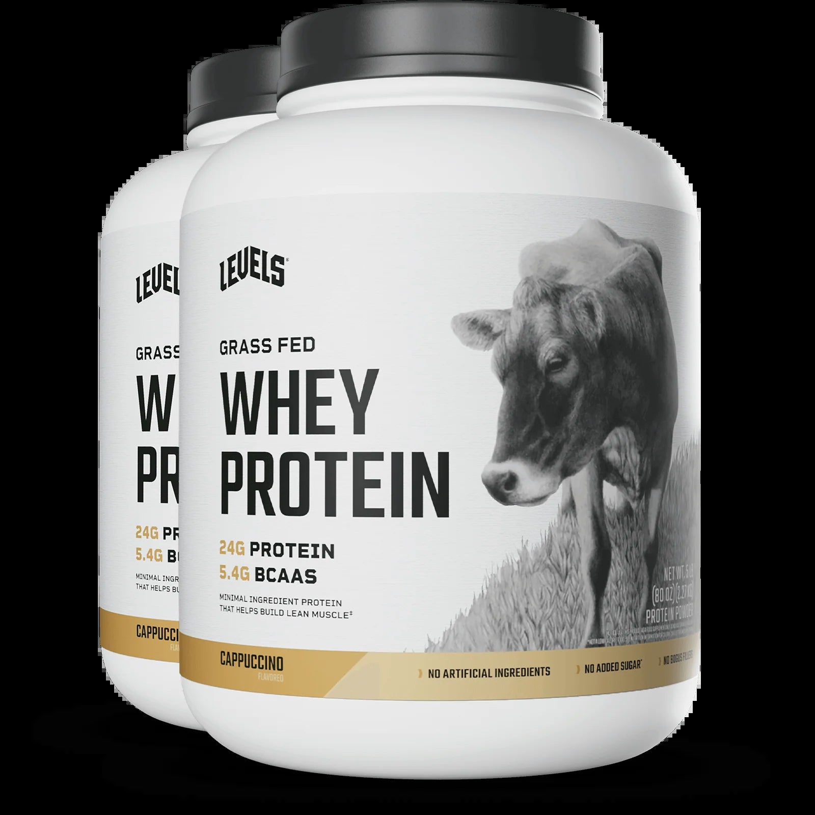 Whey Protein