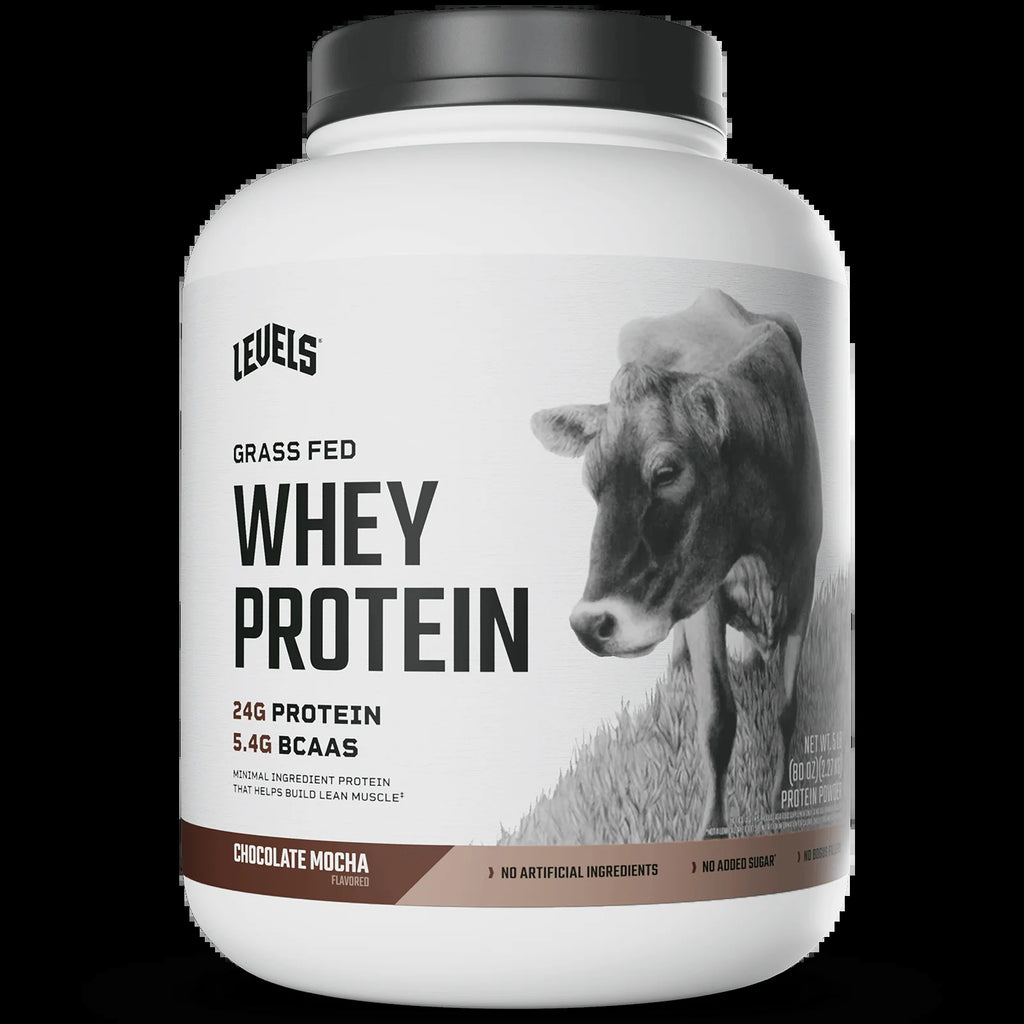 Whey Protein